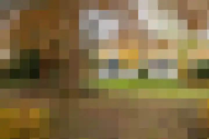 Joppelaan 60 Gorssel thumbnail 67