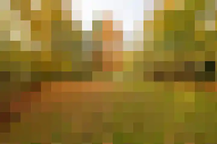 Joppelaan 60 Gorssel thumbnail 69