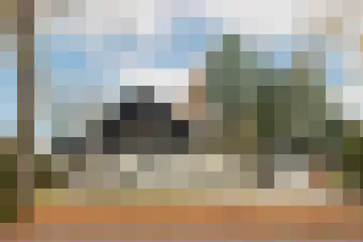 Joppelaan 60 Gorssel thumbnail 7