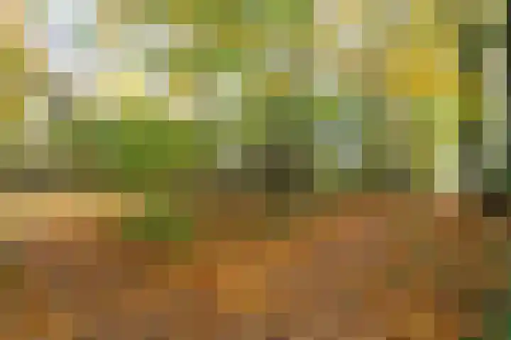 Joppelaan 60 Gorssel thumbnail 70