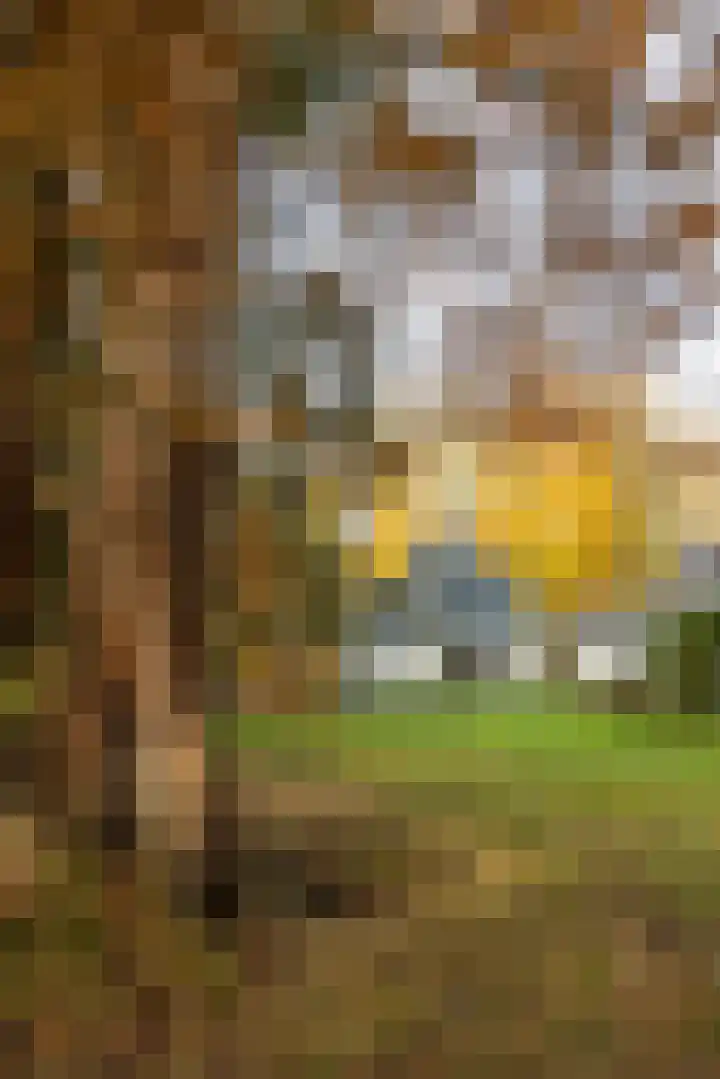 Joppelaan 60 Gorssel thumbnail 72