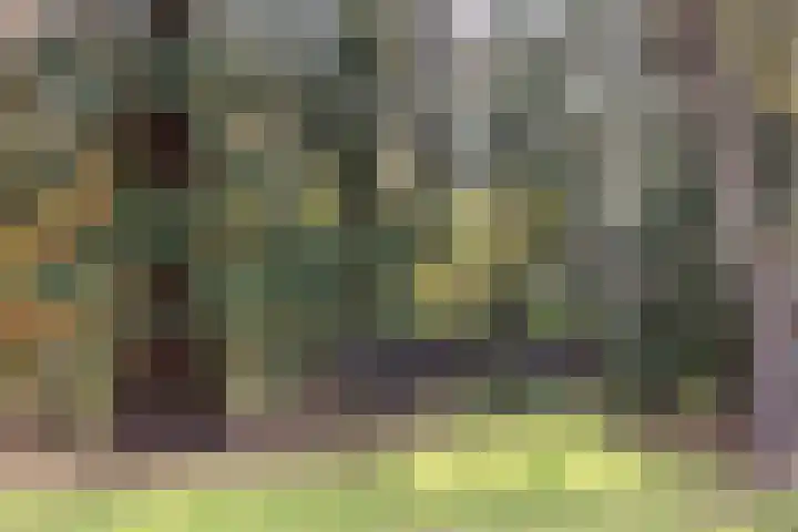Joppelaan 60 Gorssel thumbnail 73