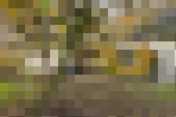 Joppelaan 60 Gorssel thumbnail 74