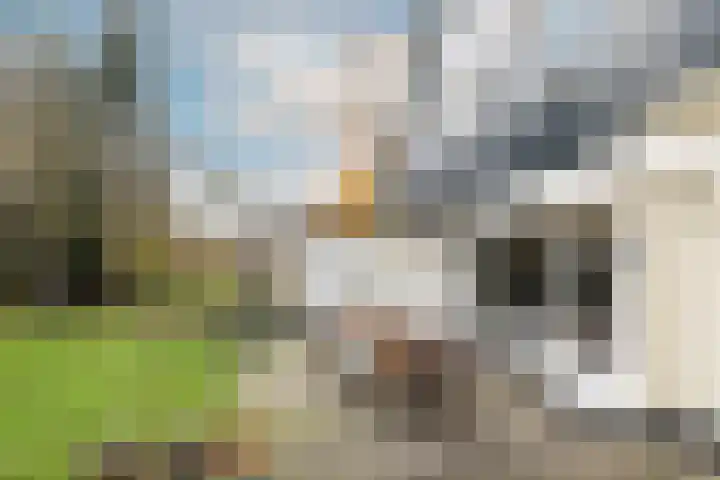 Joppelaan 60 Gorssel thumbnail 76