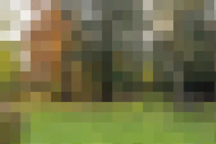 Joppelaan 60 Gorssel thumbnail 80