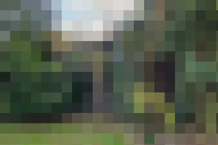 Joppelaan 60 Gorssel thumbnail 81
