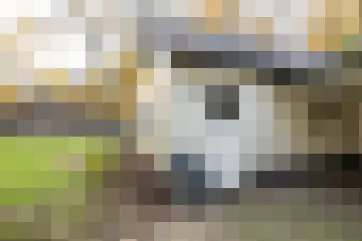 Joppelaan 60 Gorssel thumbnail 83
