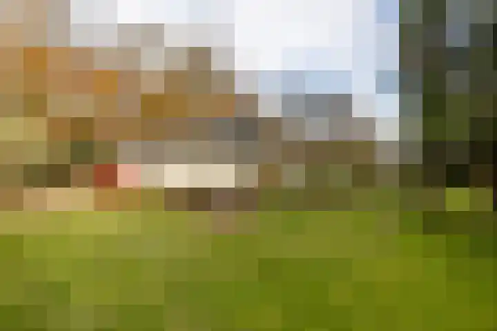 Joppelaan 60 Gorssel thumbnail 89