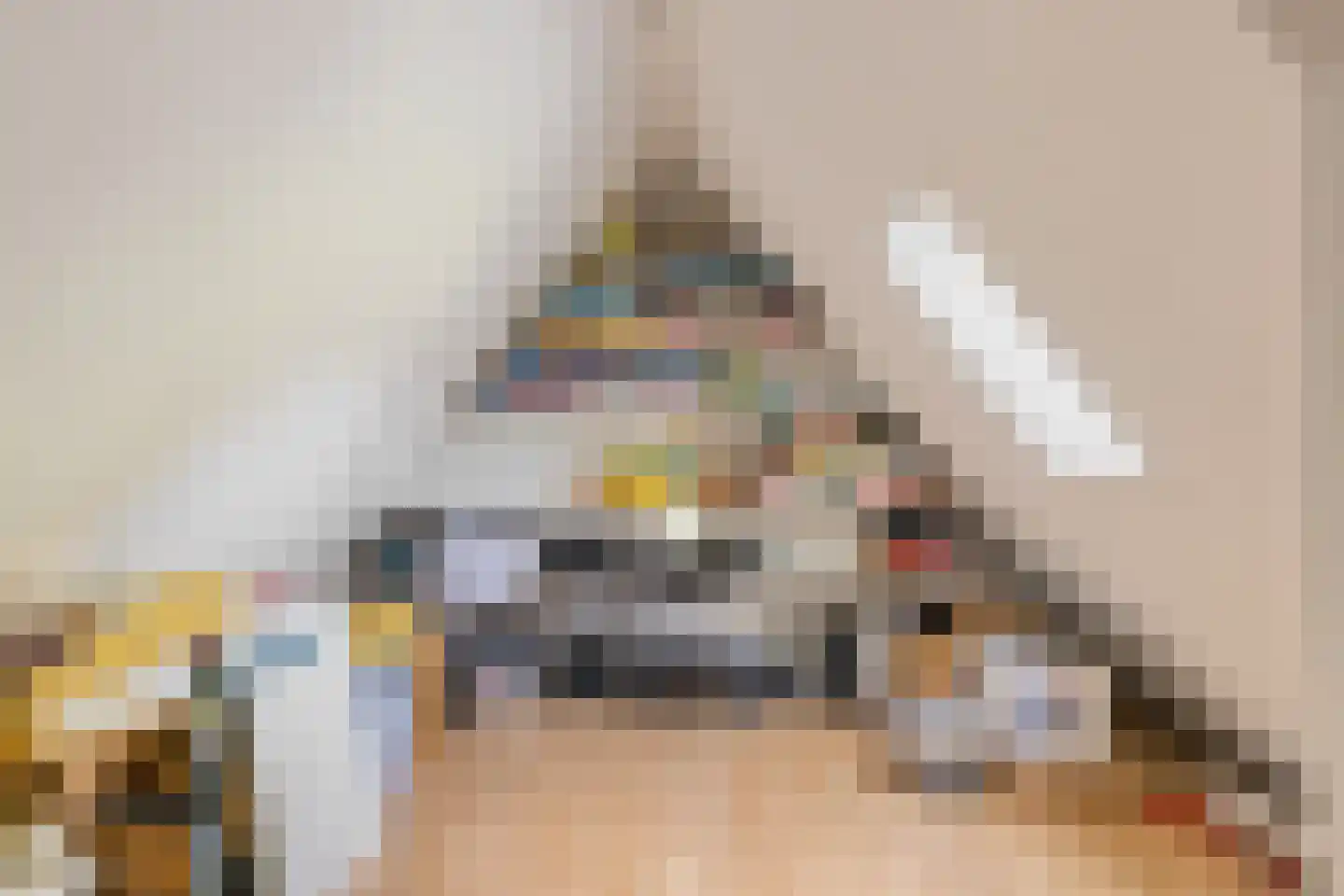 Joppelaan 64 Gorssel thumbnail 30