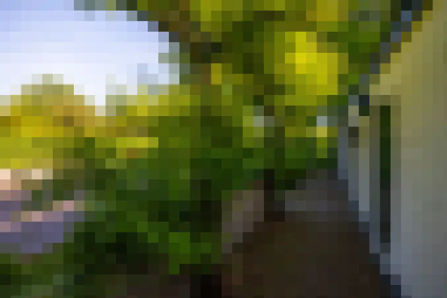 Joppelaan 64 Gorssel thumbnail 41