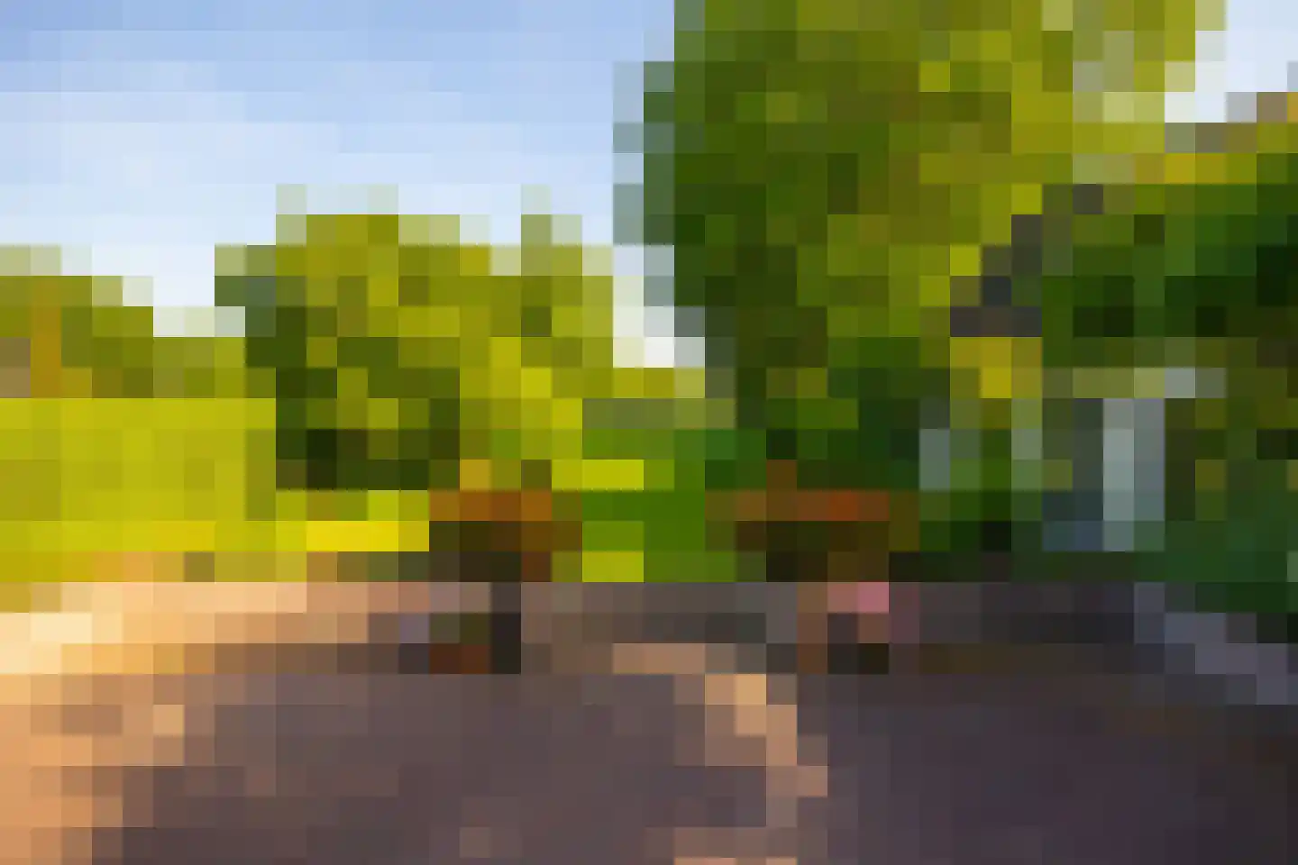 Joppelaan 64 Gorssel thumbnail 43
