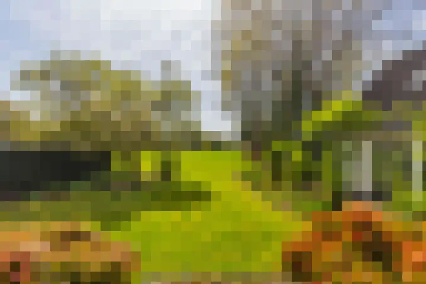 Joppelaan 64 Gorssel thumbnail 44