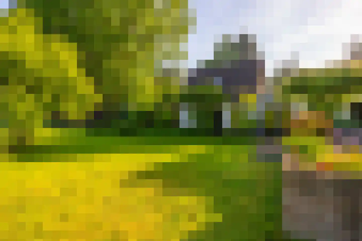 Joppelaan 64 Gorssel thumbnail 45