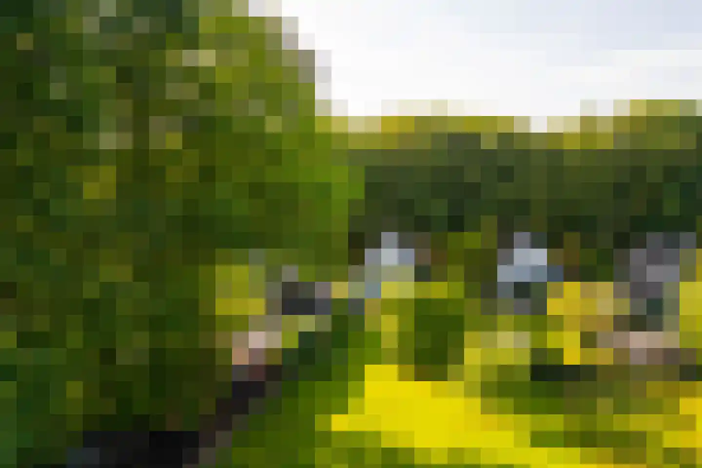 Joppelaan 64 Gorssel thumbnail 49