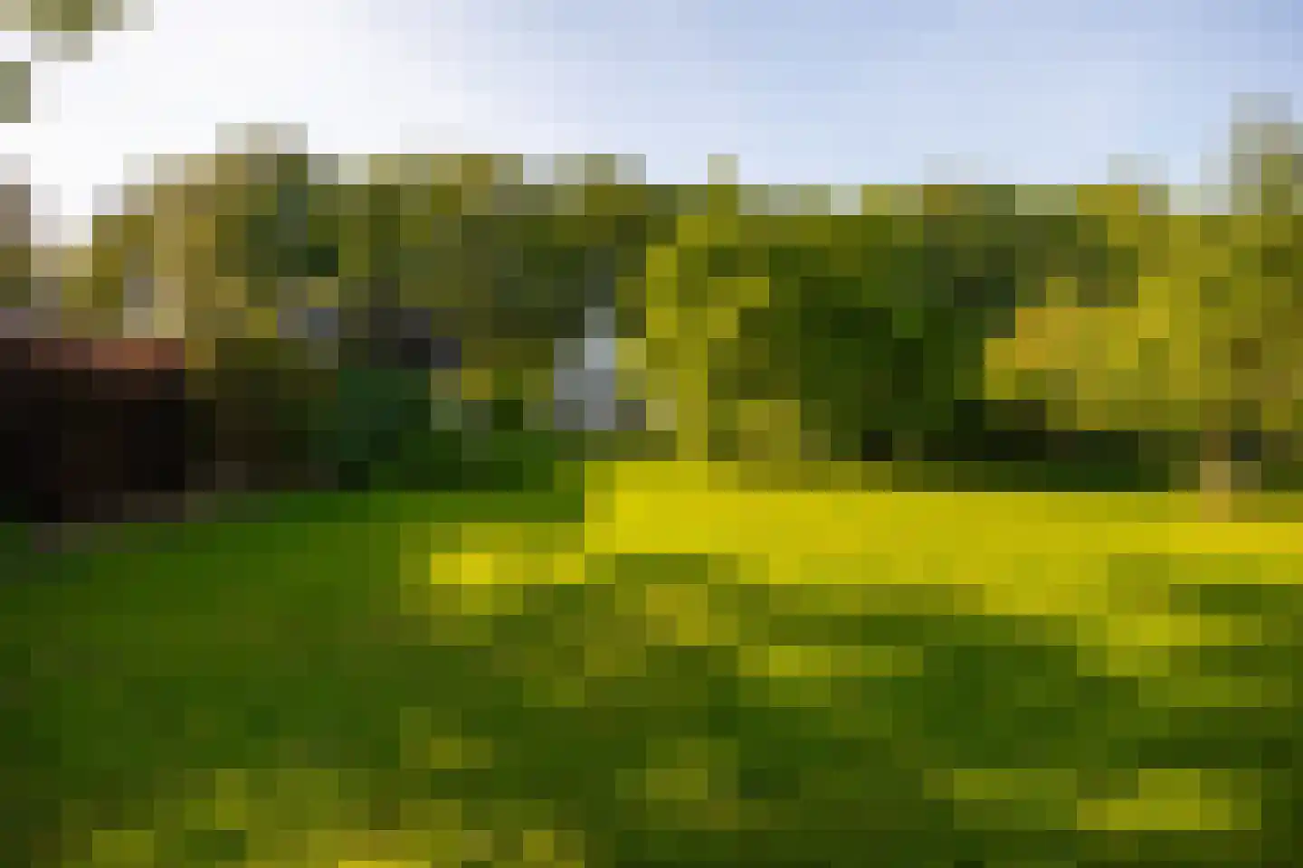 Joppelaan 64 Gorssel thumbnail 50