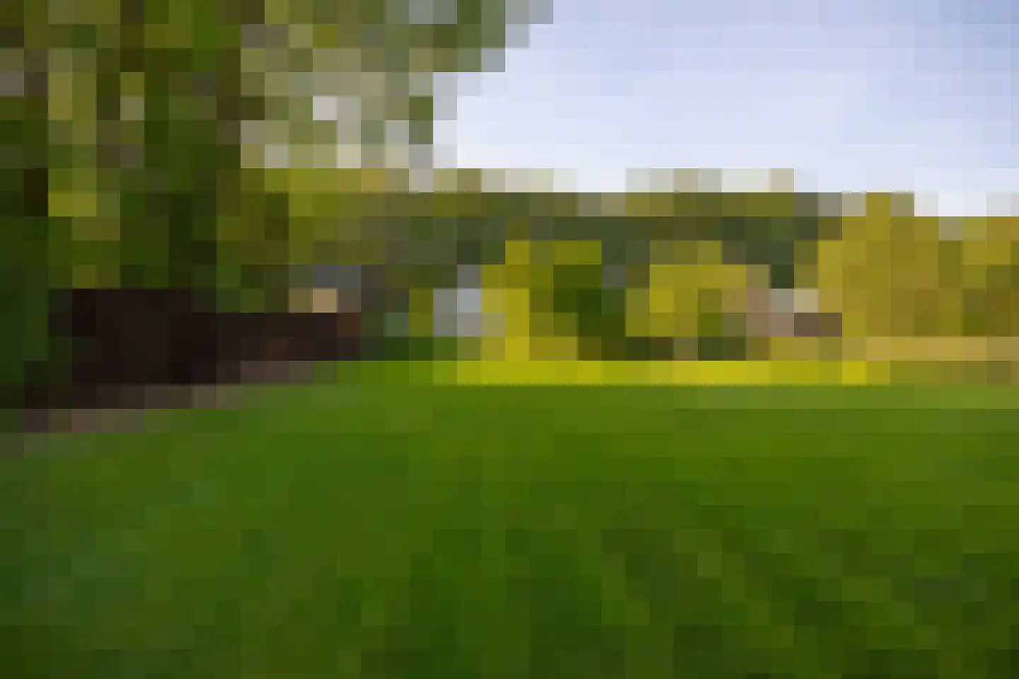 Joppelaan 64 Gorssel thumbnail 51