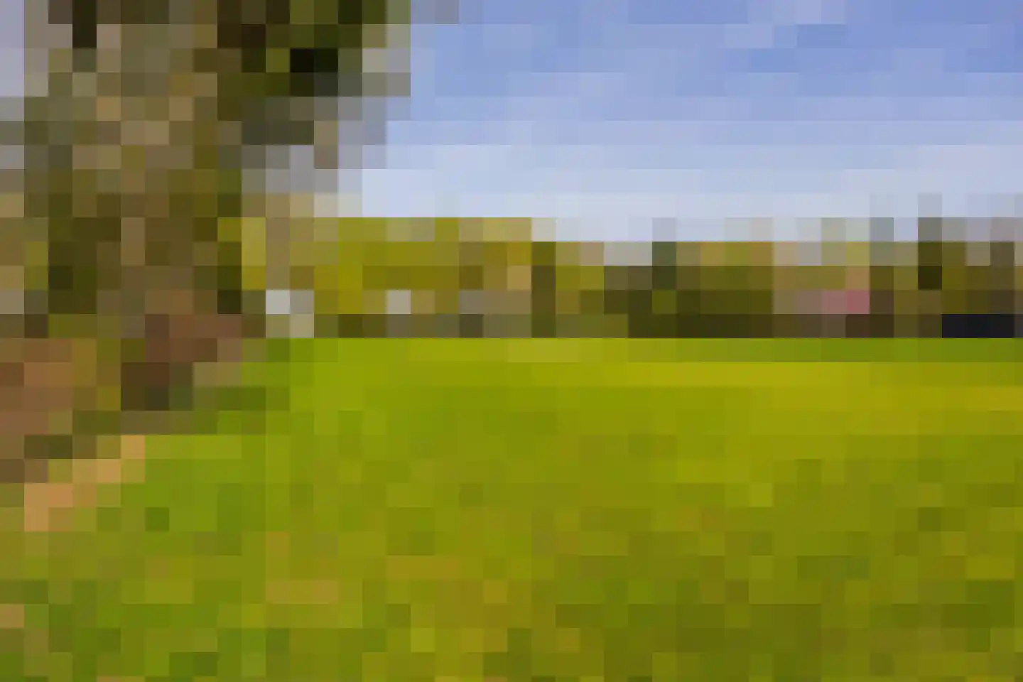 Joppelaan 64 Gorssel thumbnail 52