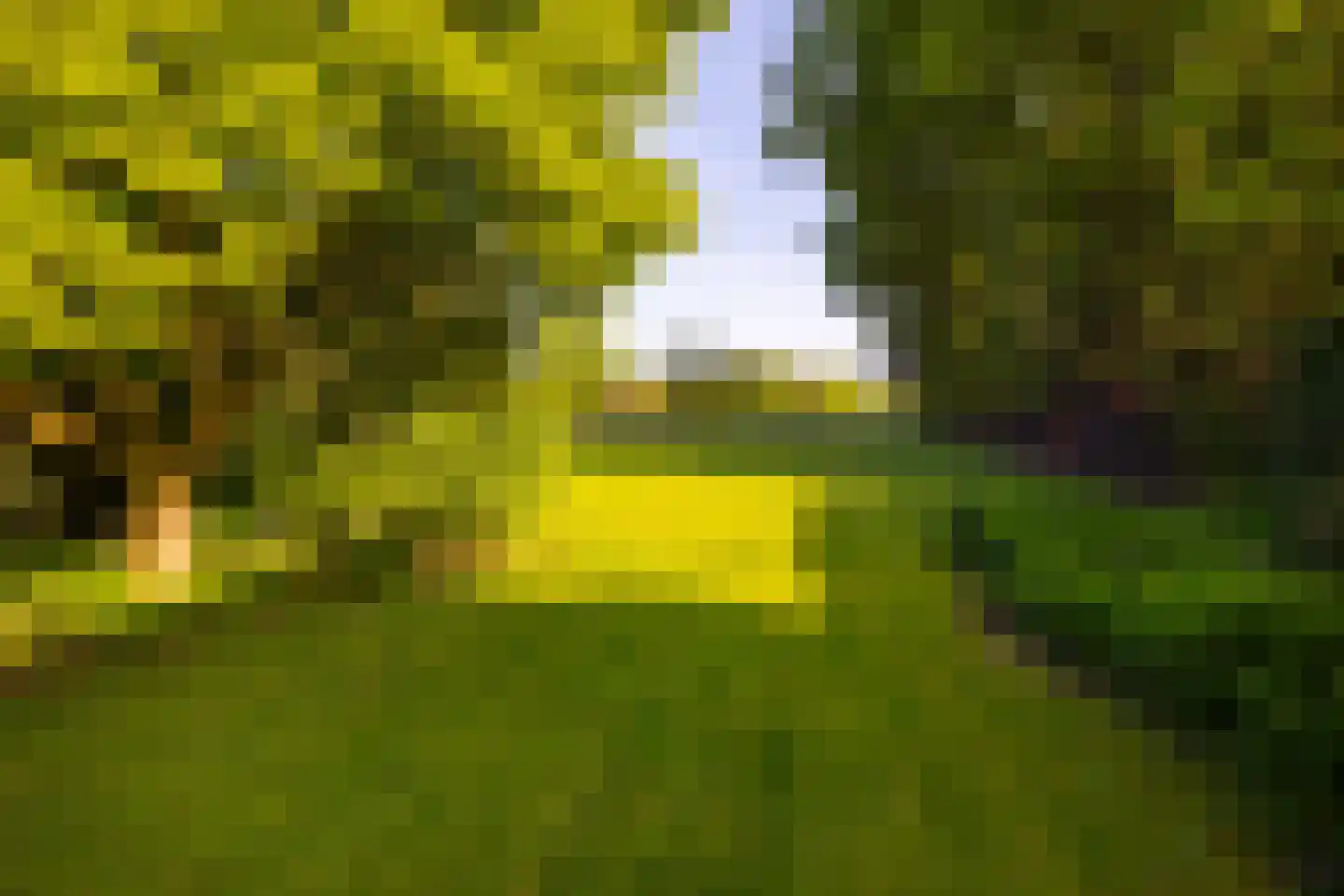 Joppelaan 64 Gorssel thumbnail 54