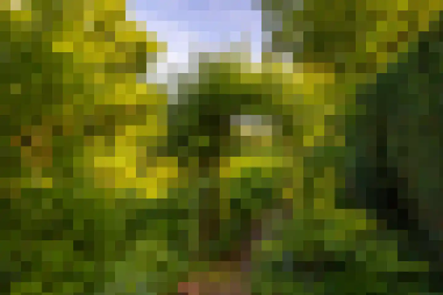 Joppelaan 64 Gorssel thumbnail 55