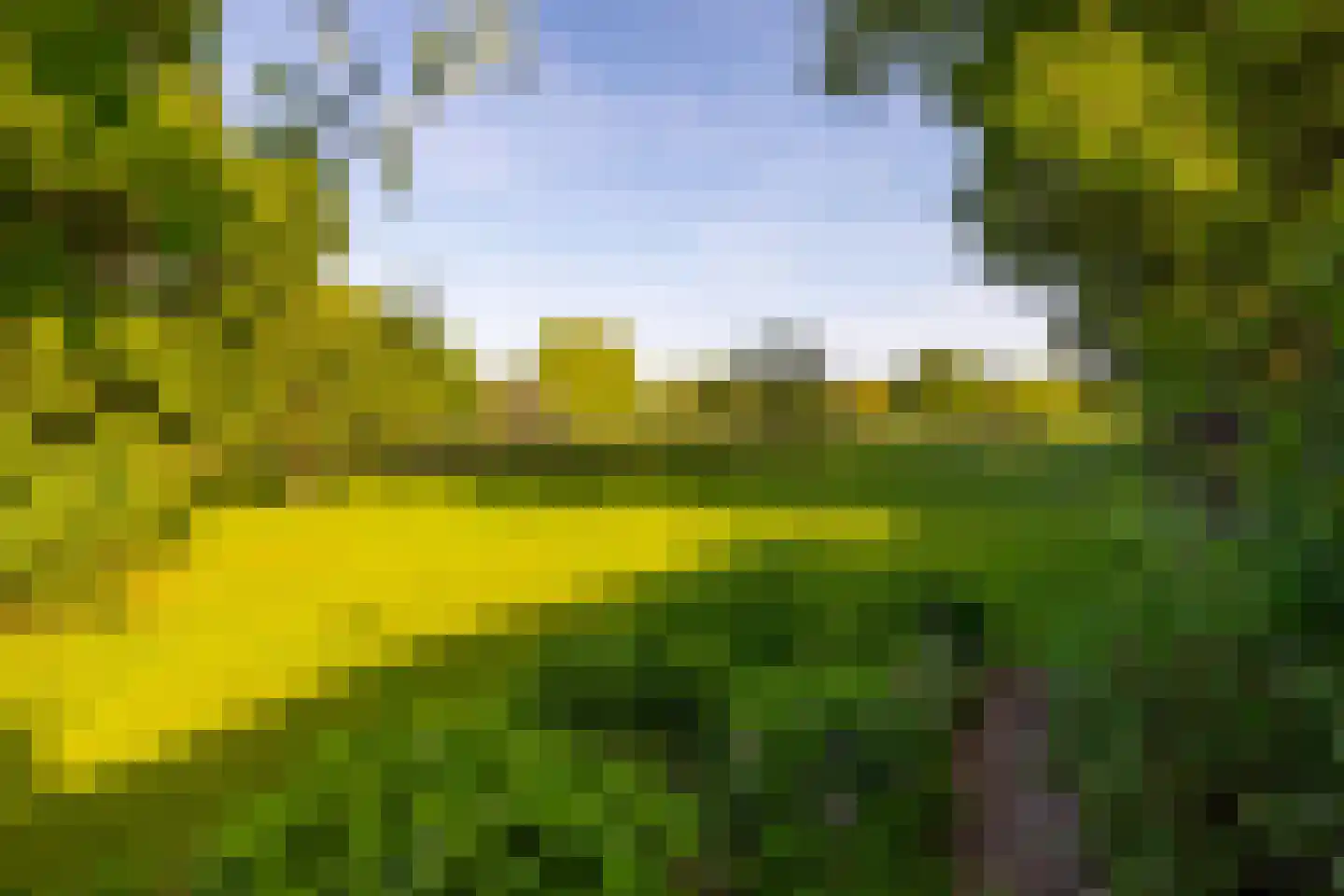 Joppelaan 64 Gorssel thumbnail 56