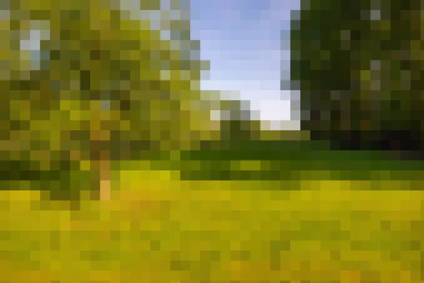 Joppelaan 64 Gorssel thumbnail 57
