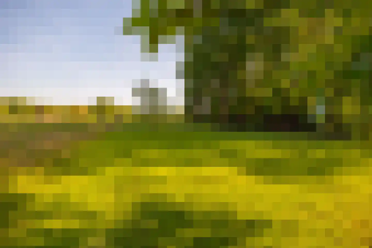 Joppelaan 64 Gorssel thumbnail 58