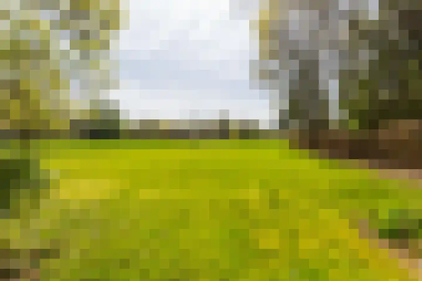 Joppelaan 64 Gorssel thumbnail 59