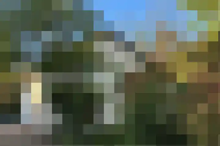 Joppelaan 98 in Joppe