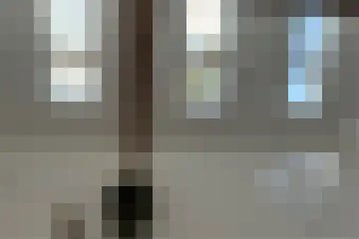 Joppelaan 98 Joppe thumbnail 25