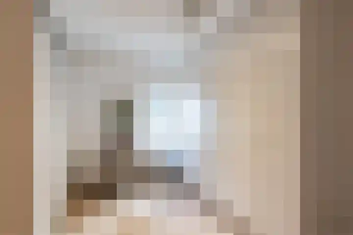 Joppelaan 98 Joppe thumbnail 37