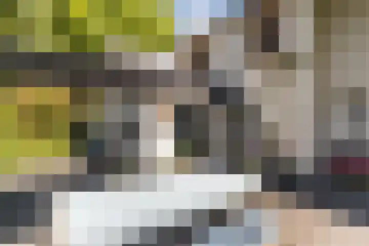 Joppelaan 98 Joppe thumbnail 63