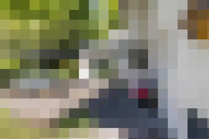 Joppelaan 98 Joppe thumbnail 64