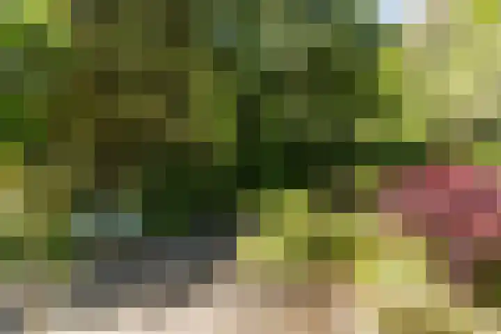 Joppelaan 98 Joppe thumbnail 65