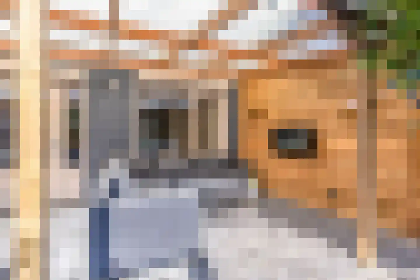 Joppenberg 7 Veldhoven thumbnail 35