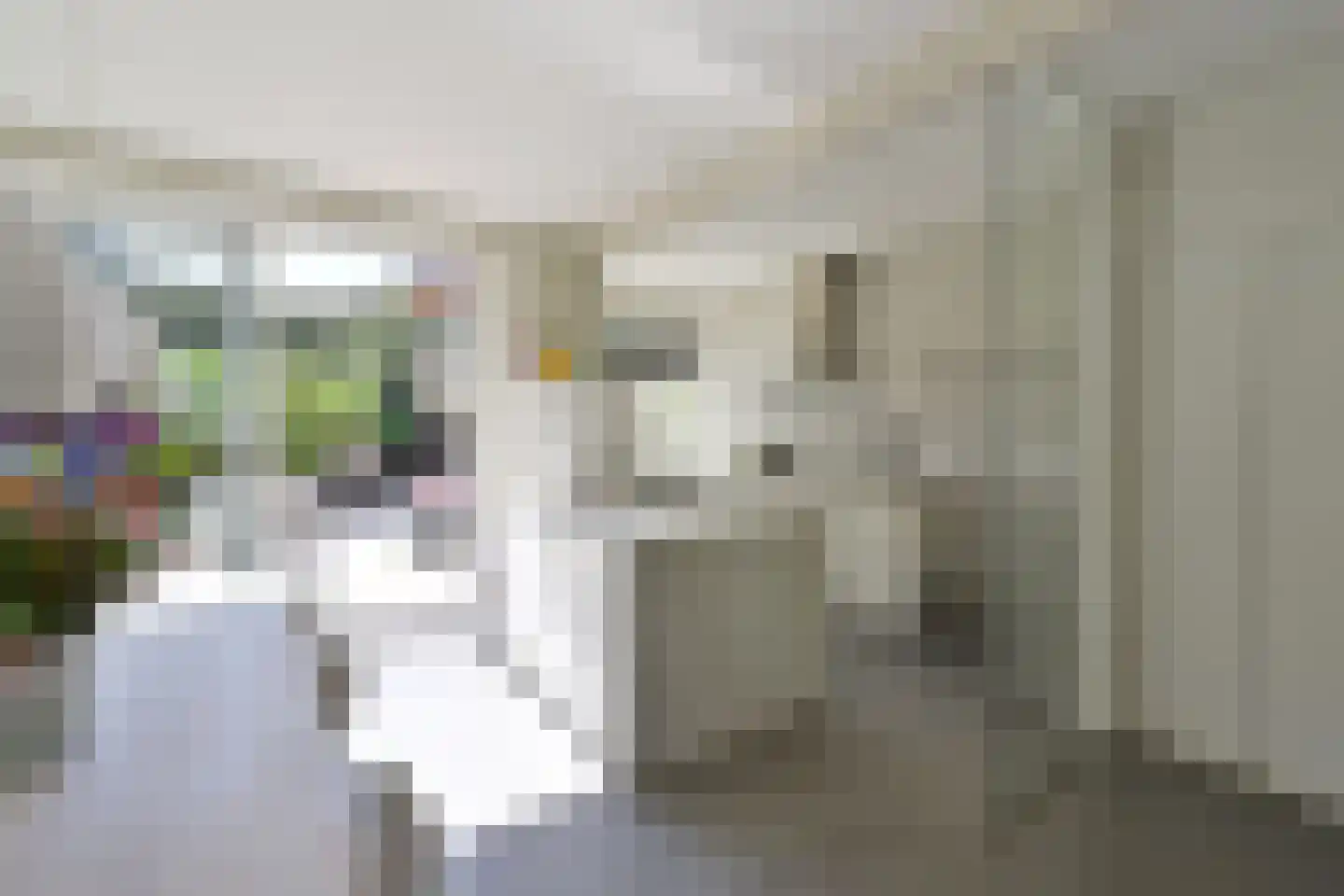 Jordaan 18 Laren thumbnail 11