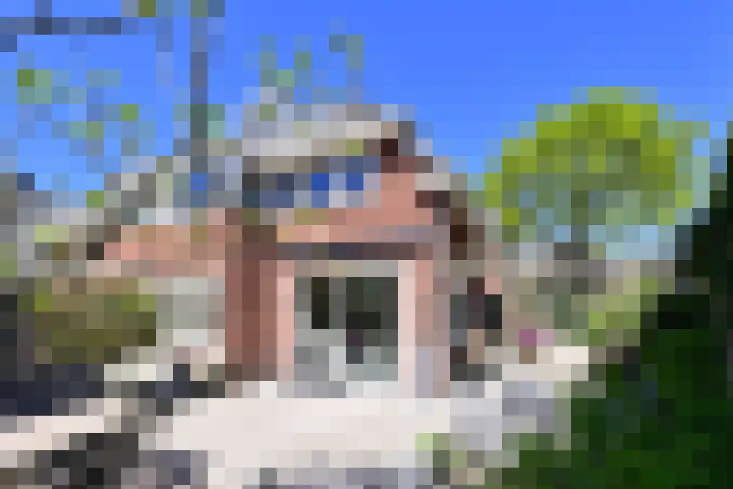 Jordaan 18 Laren thumbnail 13