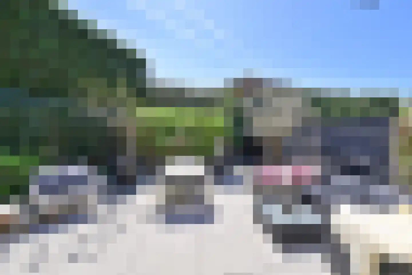 Jordaan 18 Laren thumbnail 14