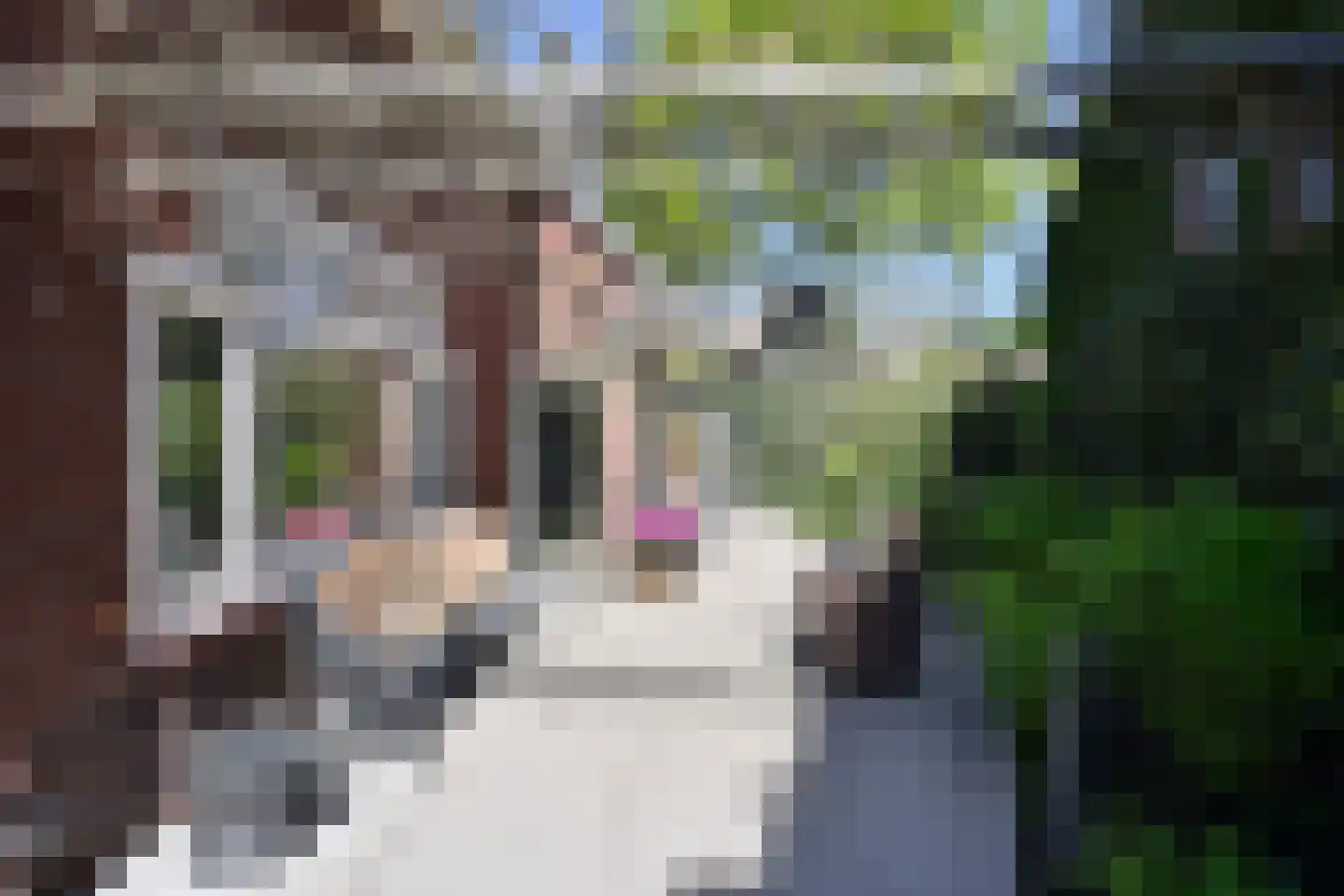 Jordaan 18 Laren thumbnail 16