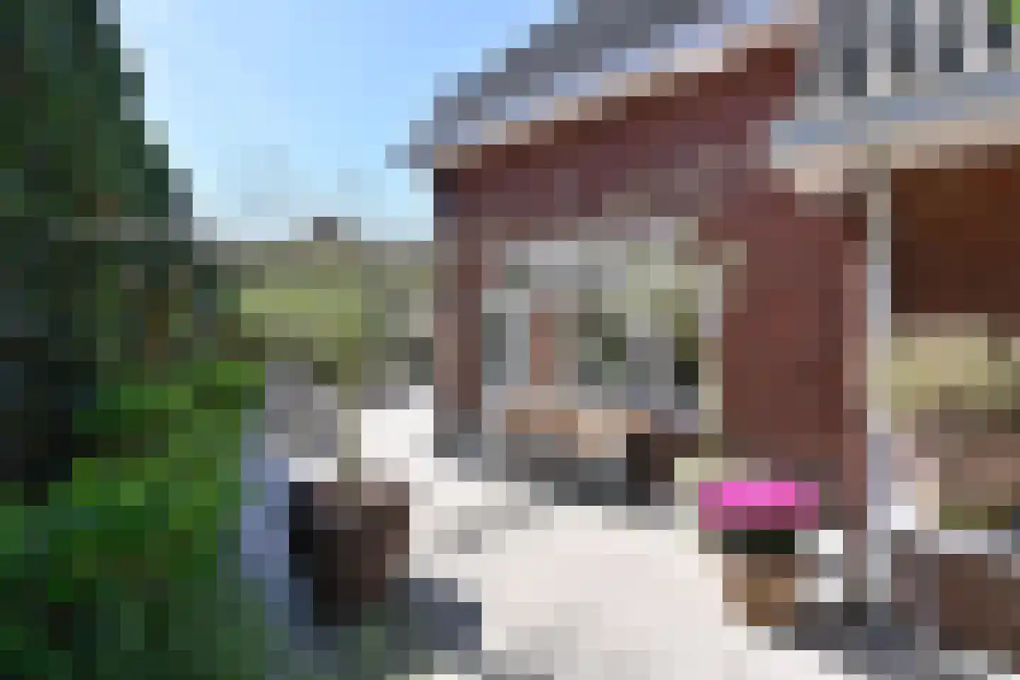 Jordaan 18 Laren thumbnail 17
