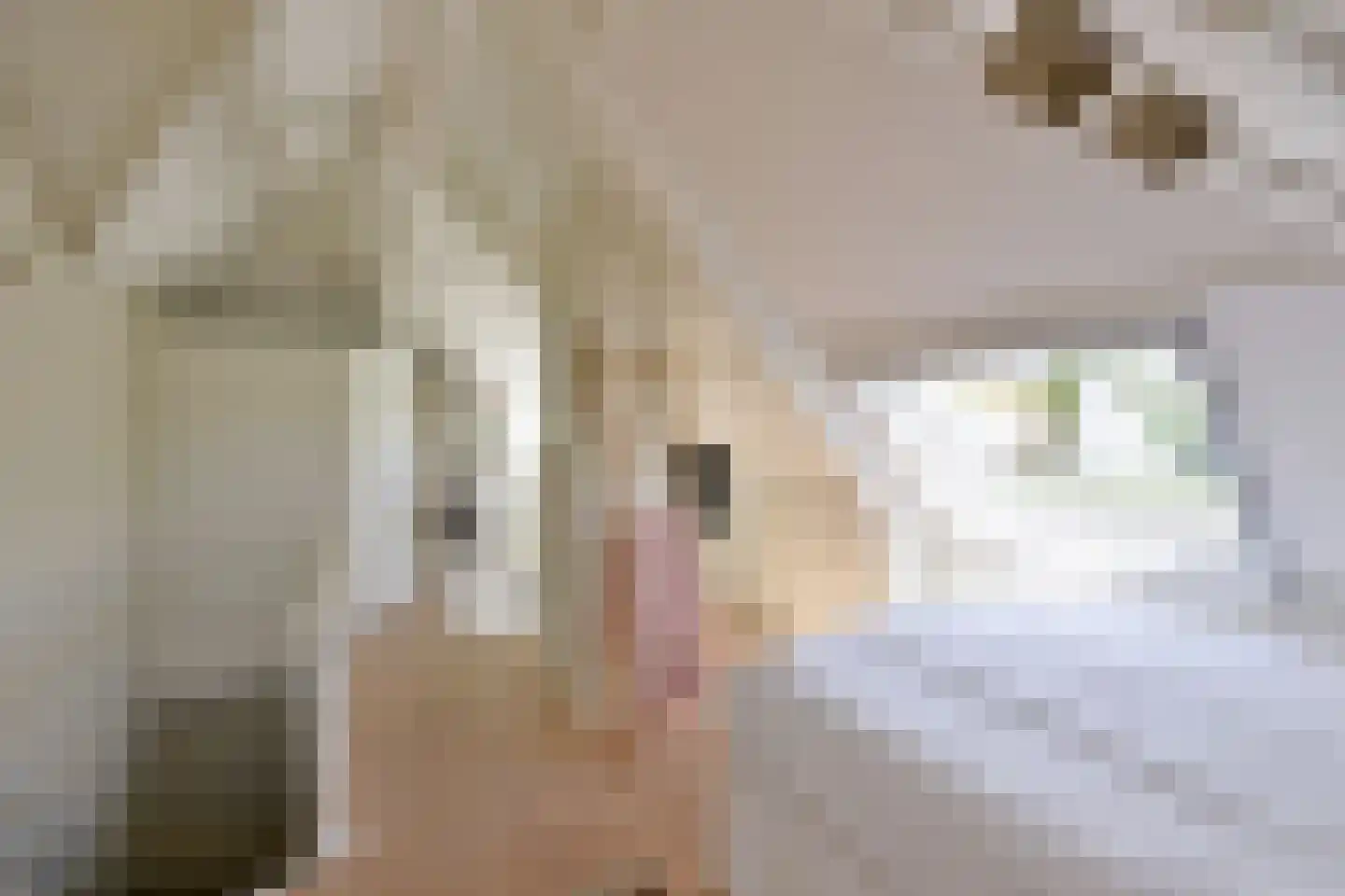 Jordaan 18 Laren thumbnail 26