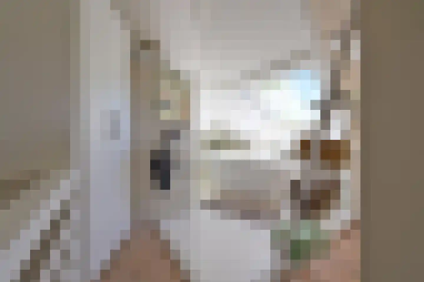 Jordaan 18 Laren thumbnail 27
