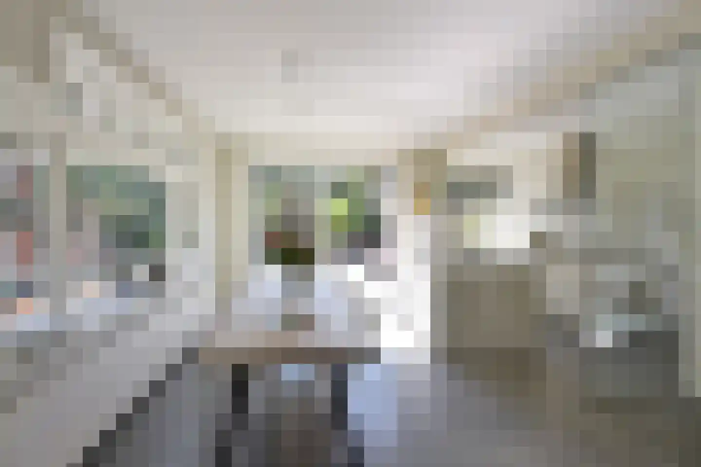 Jordaan 18 Laren thumbnail 8