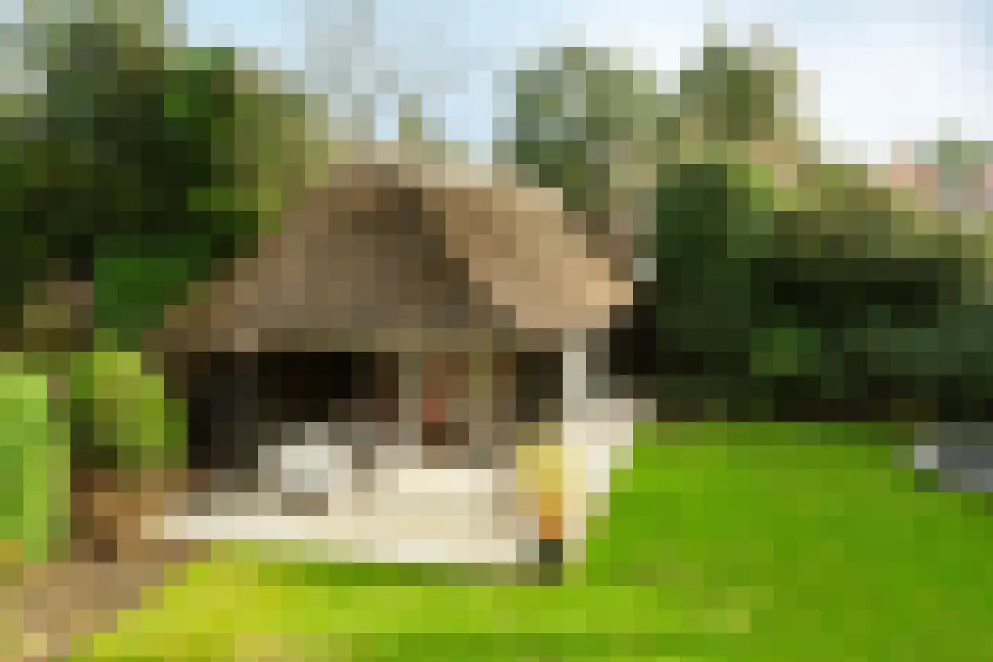 Jordaan 38 Laren thumbnail 36