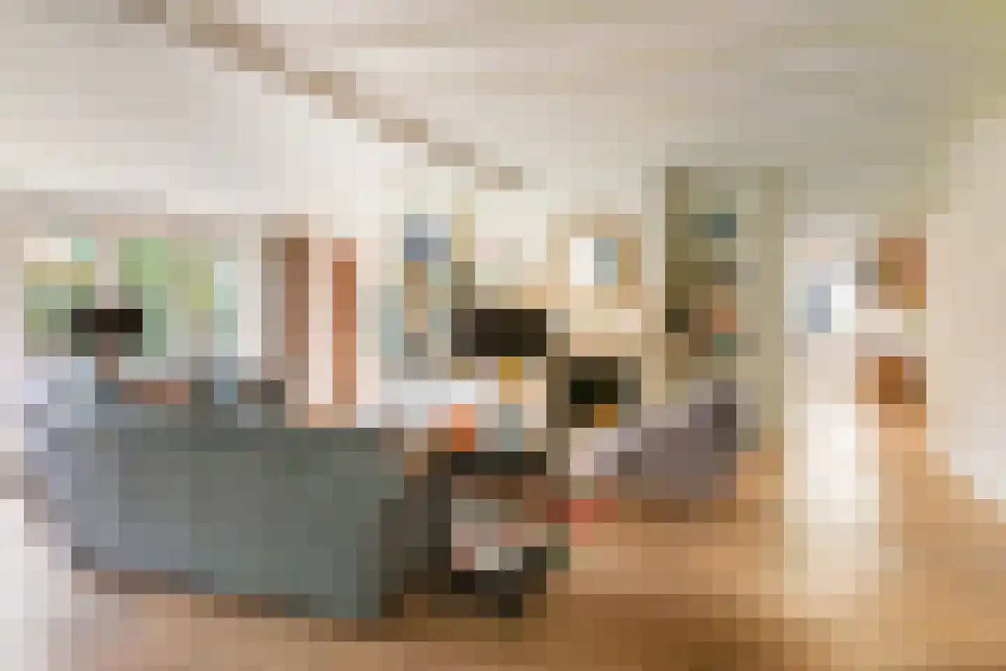 Jordaan 38 Laren thumbnail 8