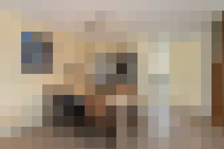 Jordaanstoep 14 Sliedrecht thumbnail 11