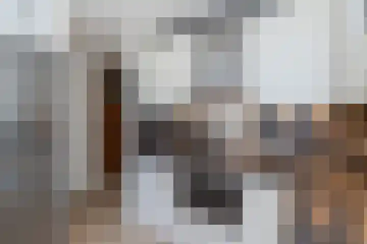 Jordaanstoep 14 Sliedrecht thumbnail 13