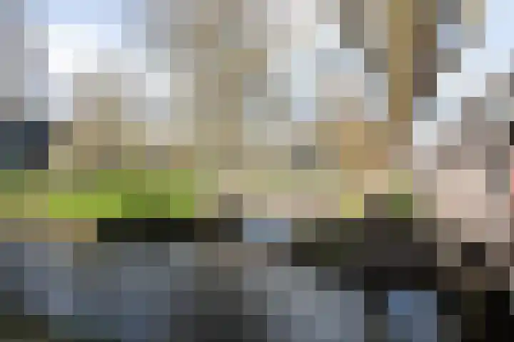Jordaanstoep 14 Sliedrecht thumbnail 25
