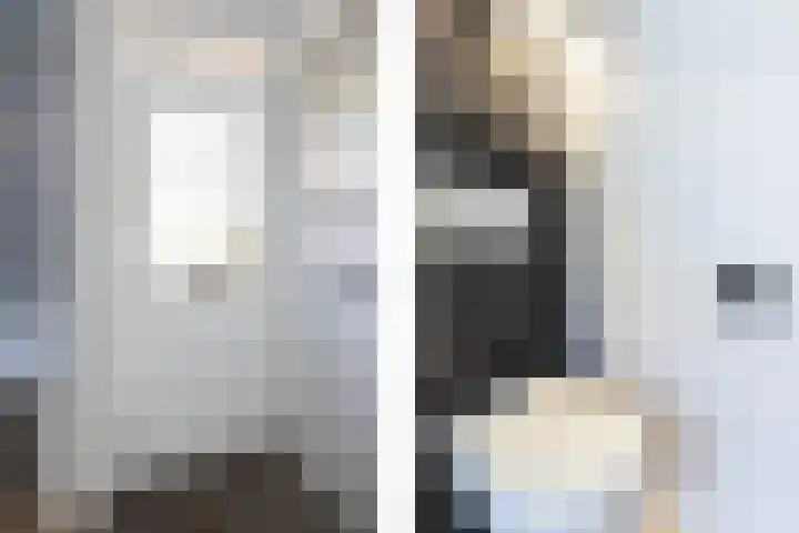 Jordaanstoep 14 Sliedrecht thumbnail 6