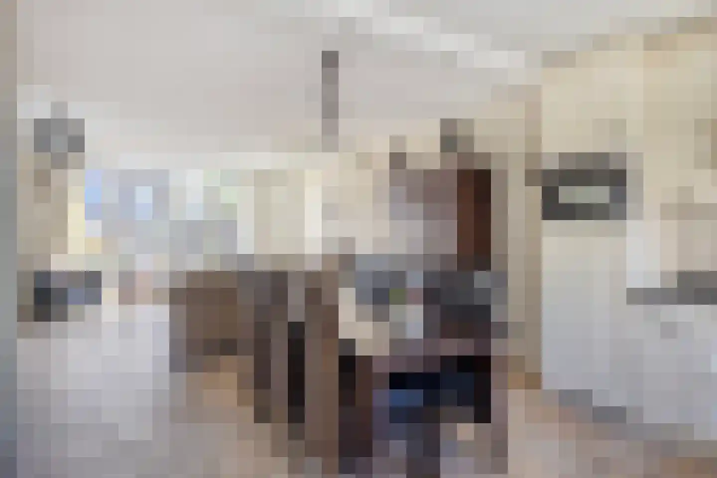 Jordaanstoep 3 Sliedrecht thumbnail 10