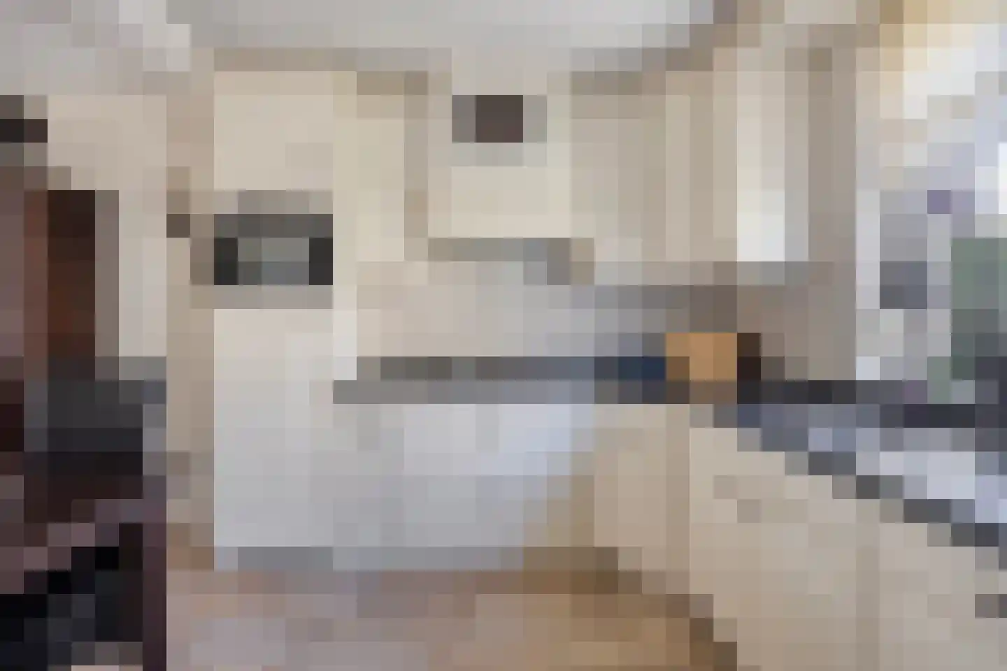 Jordaanstoep 3 Sliedrecht thumbnail 11